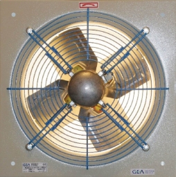 Large_1_32573cebe7df